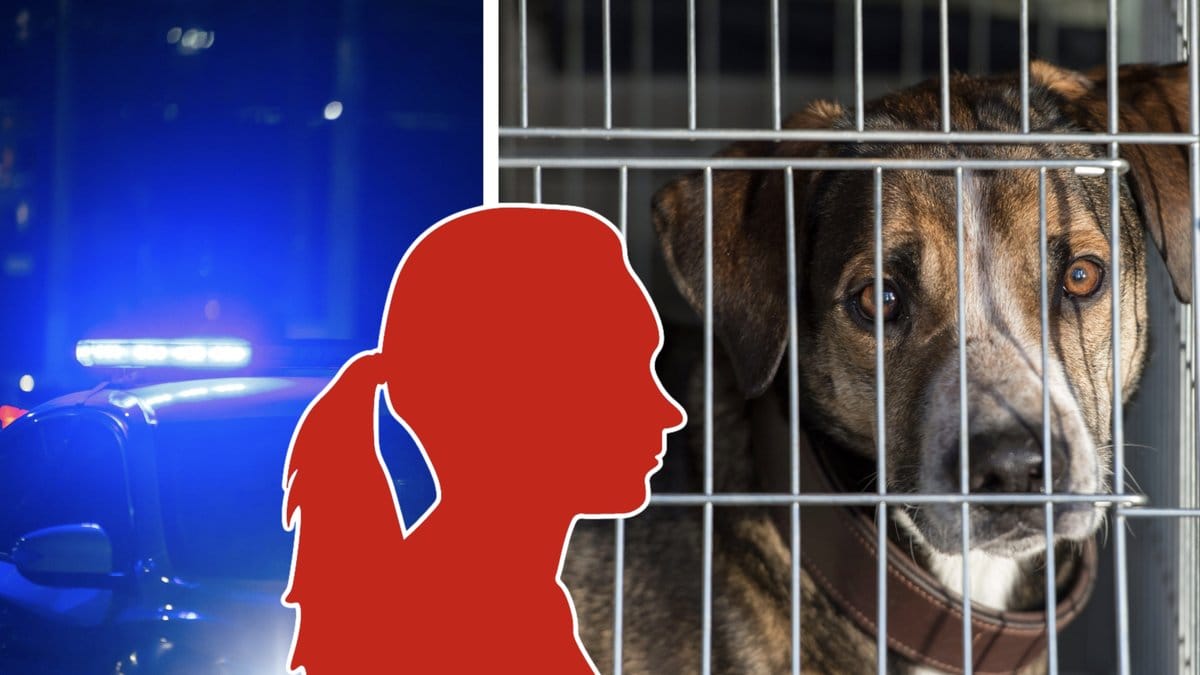 28 döda hundar och två döda katter hittades i bostaden.