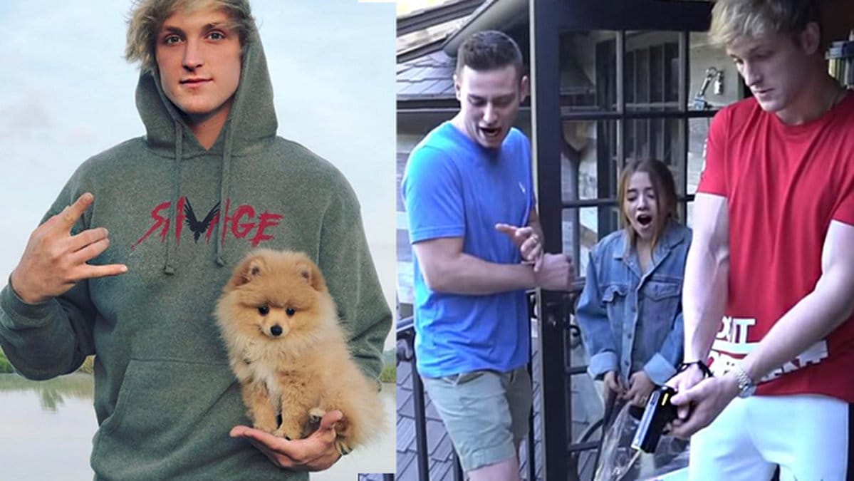 Logan Paul elchockar råttor på Youtube.