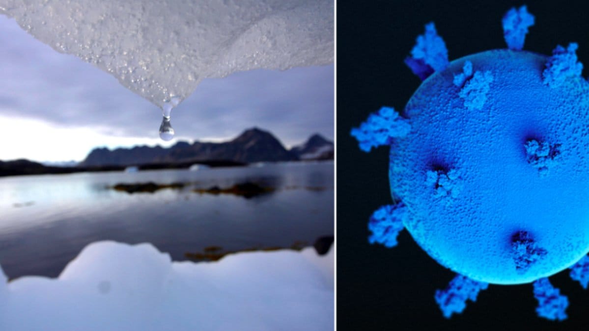 I Sibiriens permafrost har ett zombie-virus upptäckts av en grupp forskare.