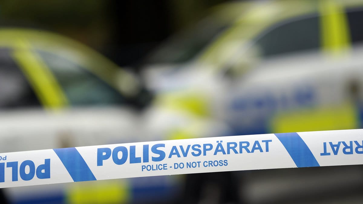 Skottlossning 