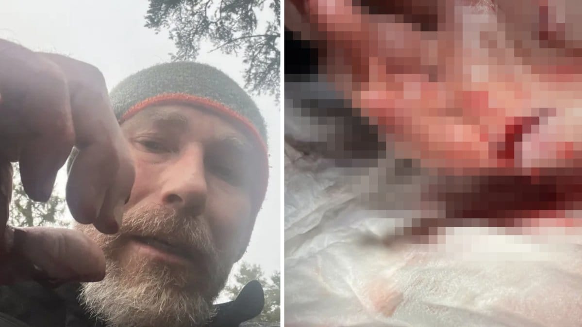 Johan attackerades av en björn.