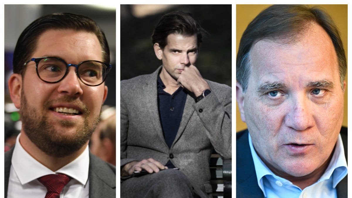 Alex Schulman menar att Åkesson borde ta över landet.