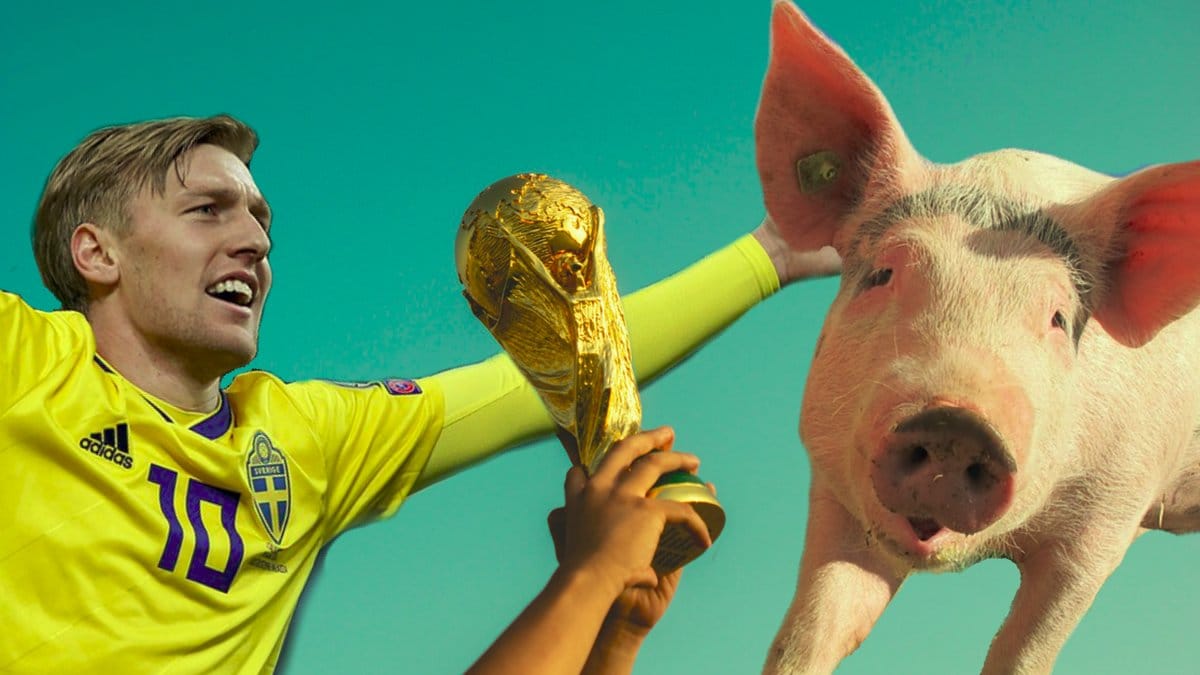 Svinpest kan komma till Sverige från Ryssland