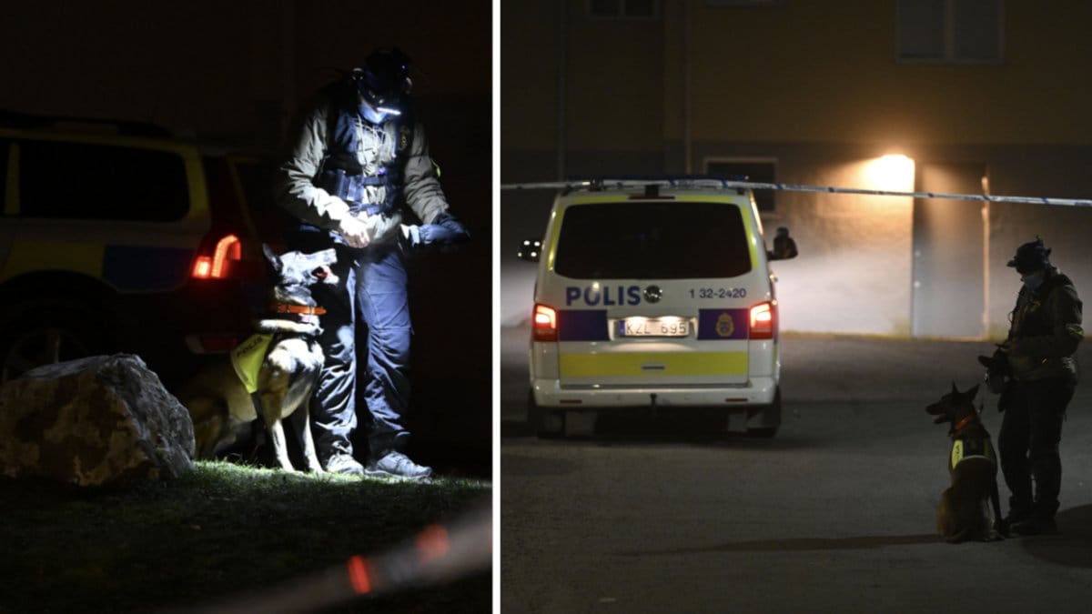 Sju människor har skjutis ihjäl i Södertälje i år