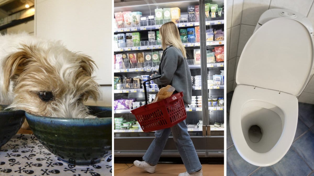 Bakterier i din matbutik