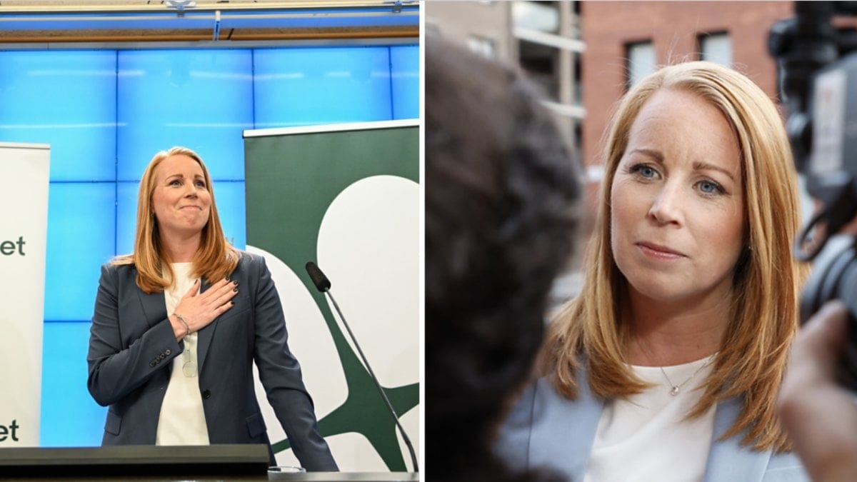 Centerpartiets partiledare Annie Lööf (C) har meddelat sin avgång.