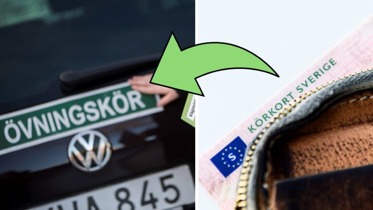 Korkort diagnoser