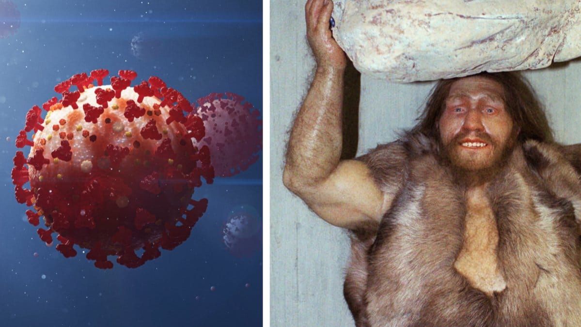 Genen skyddar mot covid.