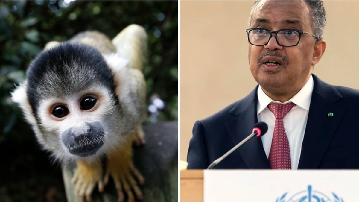 WHO:s chef Tedros Adhanom Ghebreyesus.