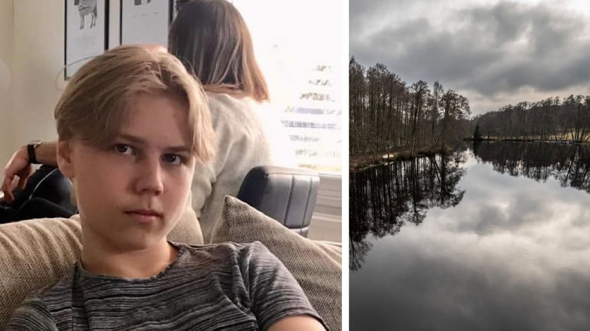 Två hundar har markerat i Lagan igen.