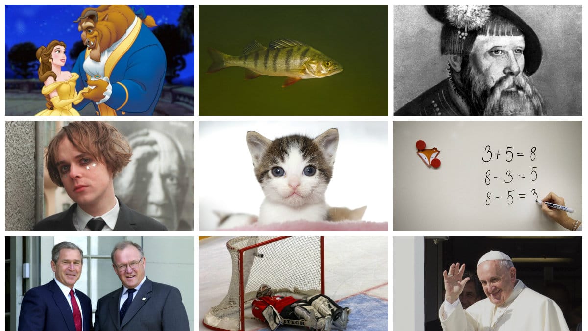 Ar-du-allmanbildad-Testa-med-vart-quiz
