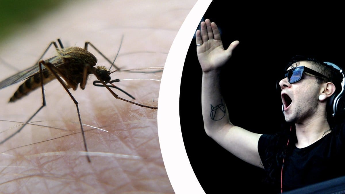 EDM-artisten Skrillex under en konsert.