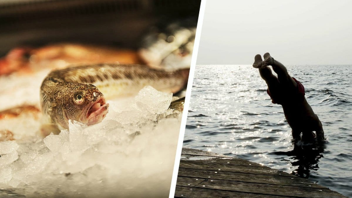 Fjärsingen antas befinna sig i svenskt vatten.