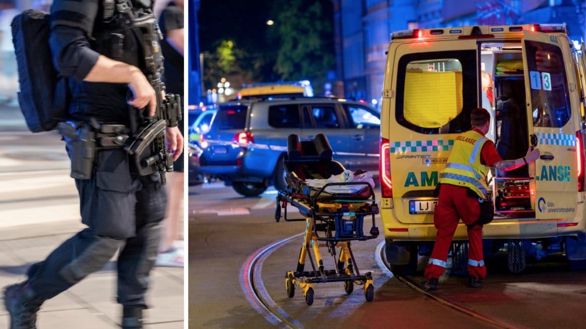 Den misstänkte gärningsmannen har gripits av polis