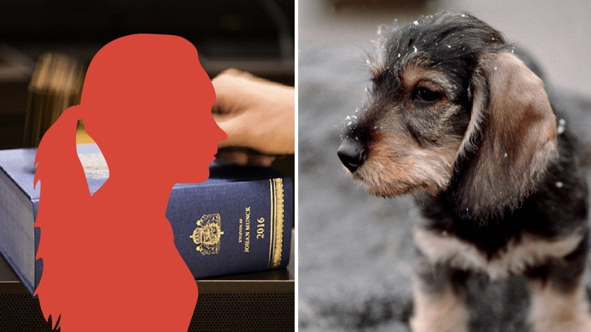 Kvinnan dömdes för vanvård av sina hundar. 