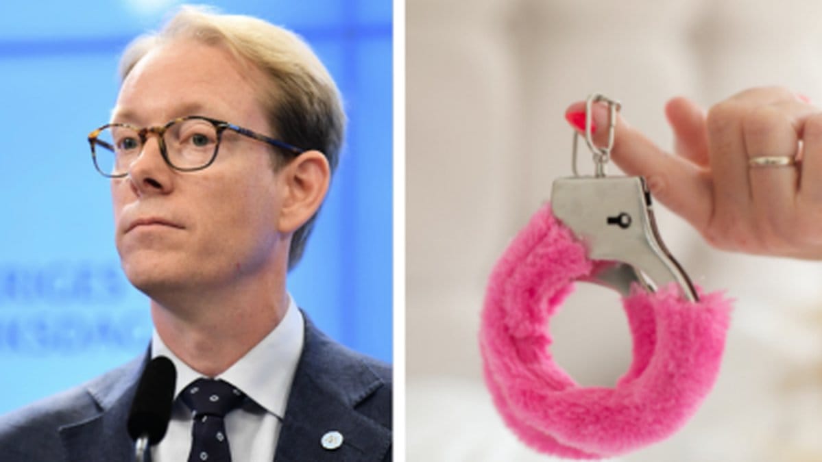 Riksdagen länkar Tobias Billströms hemsida till sexleksaks-sajt.