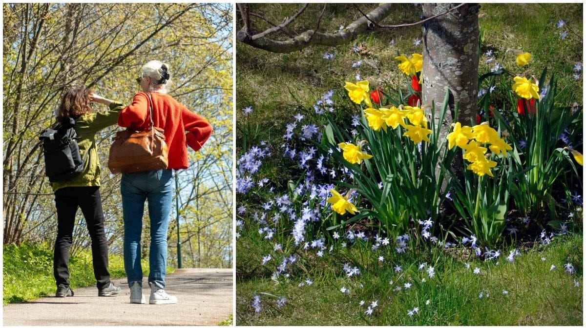 När är det vårdagjämning 2025?