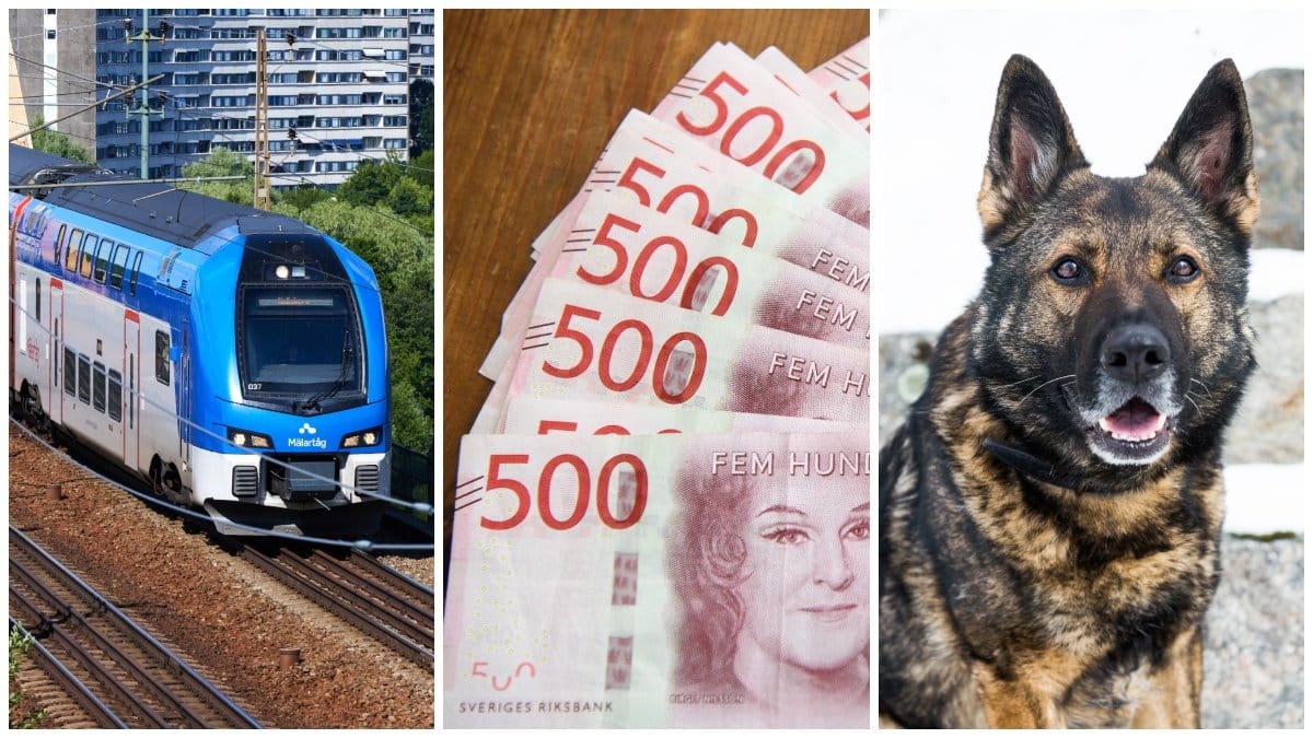 Har du koll på de avdrag du kan göra i deklarationen 2024?
