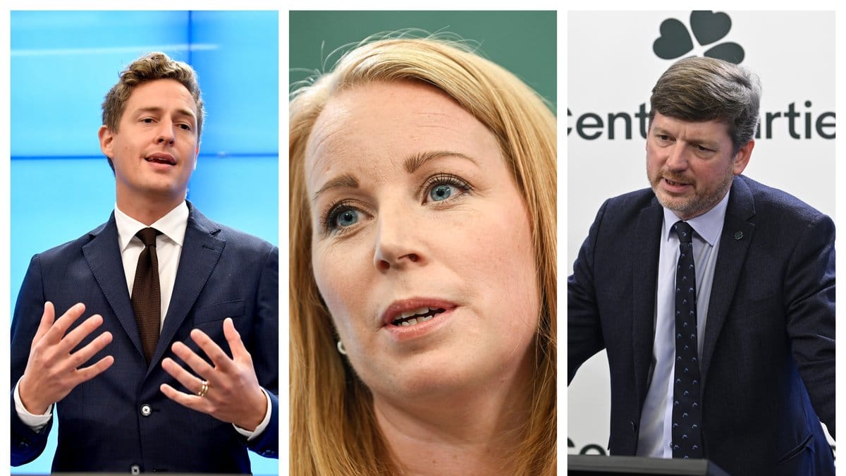 Annie Lööf (C) har avgått.