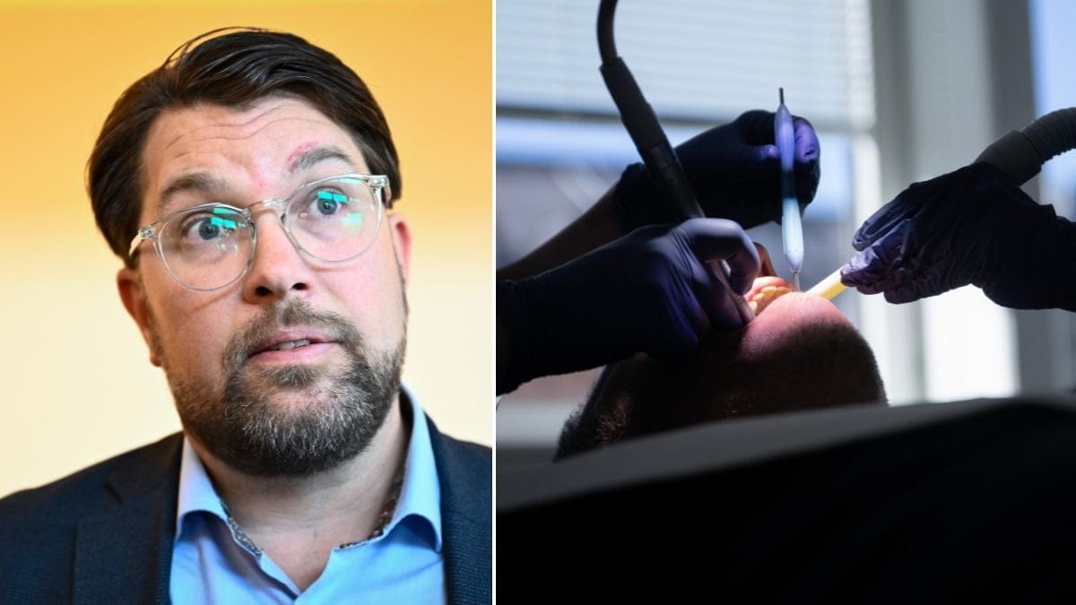 Jimmie Åkesson, tandläkare.