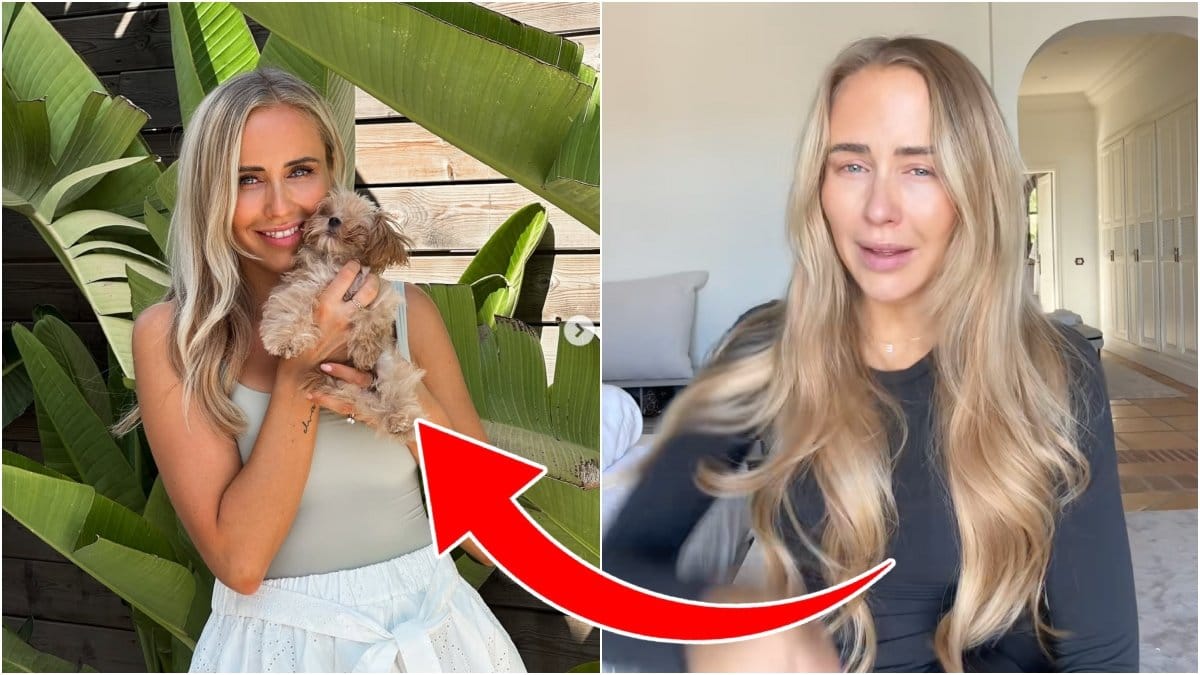 Bild från Ida Wargs instagram med hennes hund Ted. Bild på en skärmdump från hennes tiktok. 