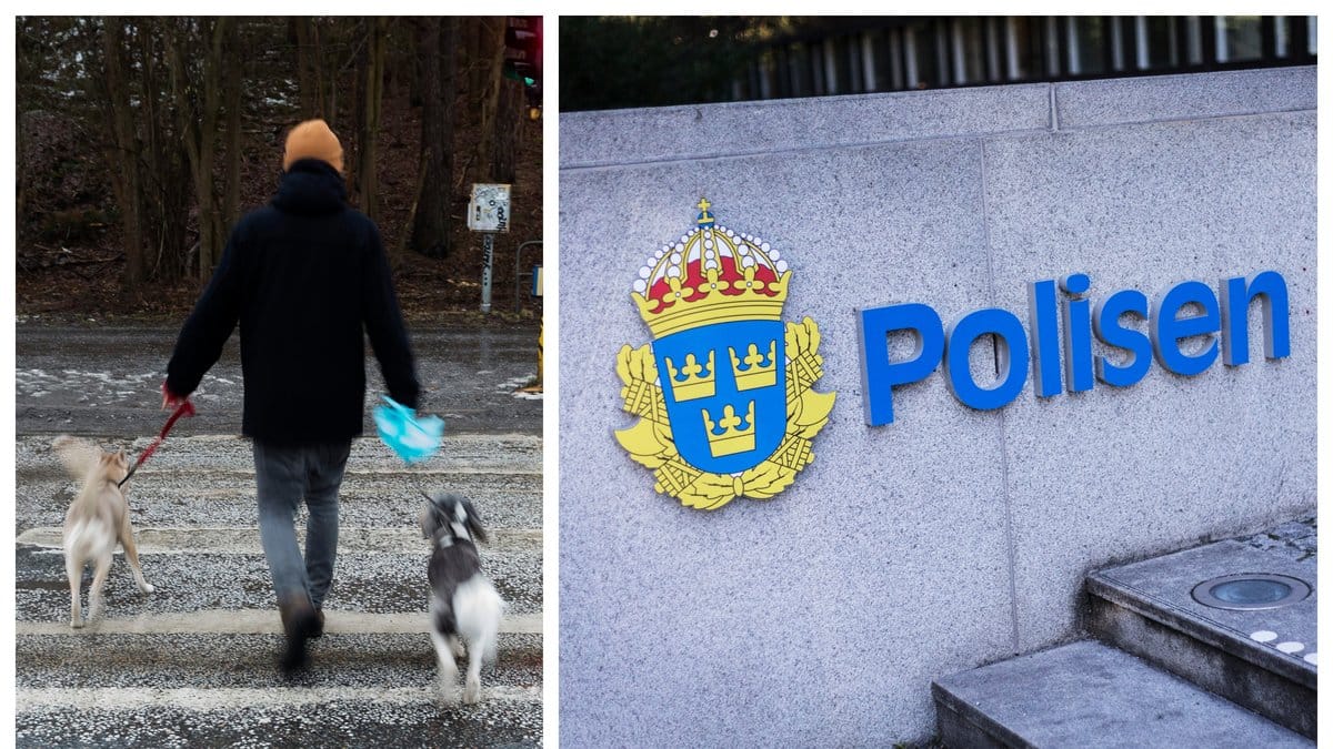 Polisen efterlyser en smitare som kört på en hund som senare dog av sina skador.