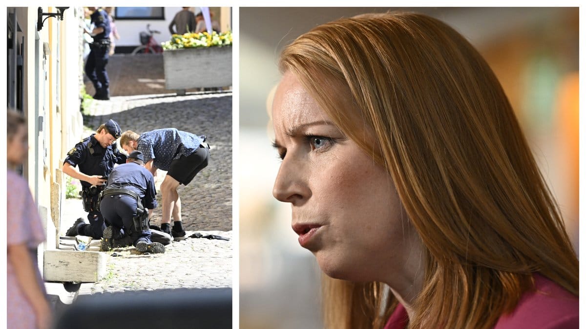 Annie Lööf (C) kommenterar nu åtalet mot 33-årige Theodor Engström.
