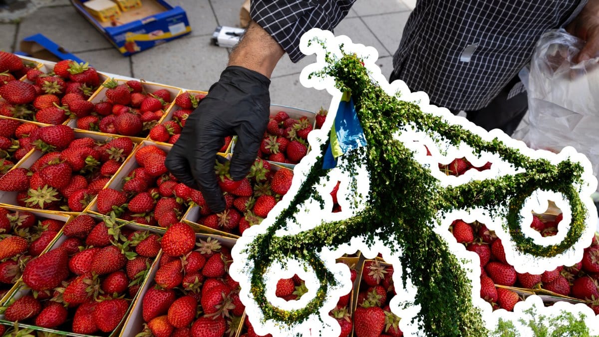 Jordgubbslådor i bakgrunden. En utklippt midsommarstång till höger.