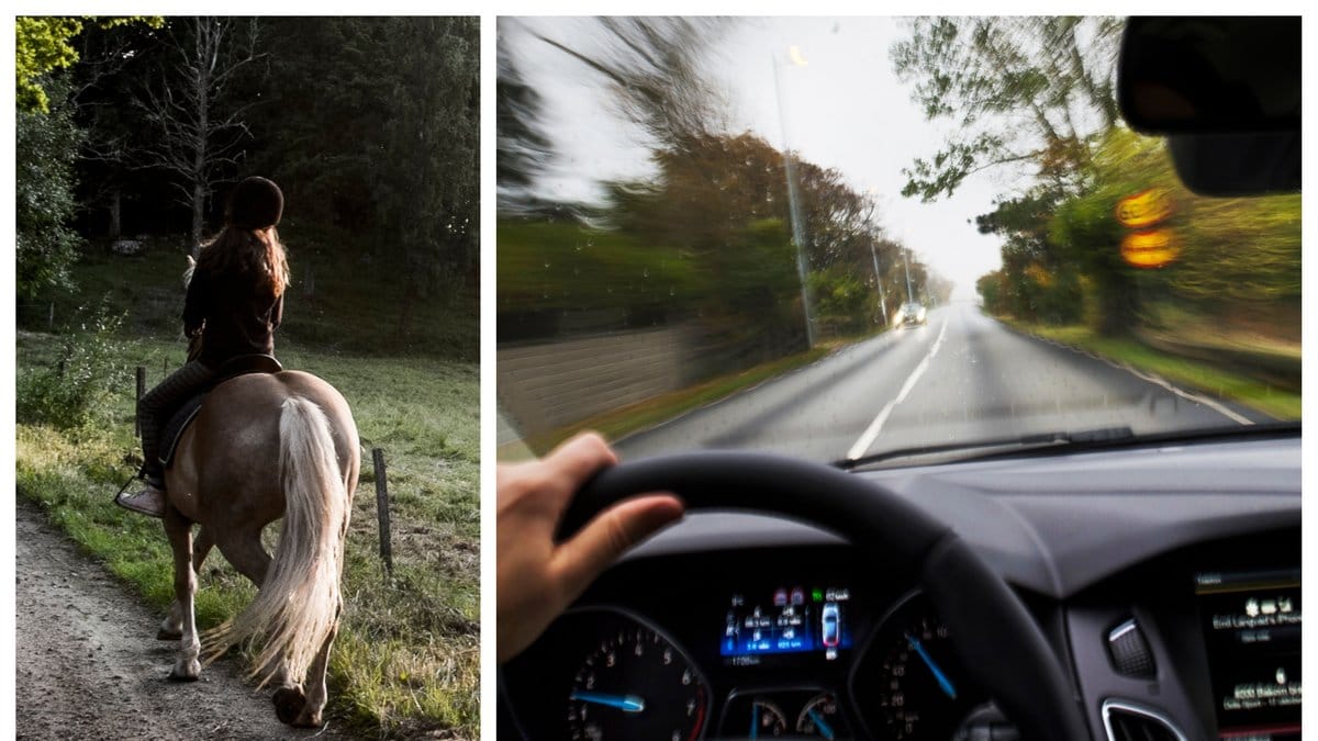 En tolvårig flicka på häst blev påkörd av en smitare.