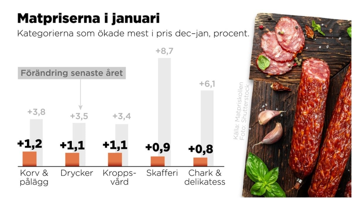 Prisutveckling i procent den senaste månaden för de kategorier som ökat mest i pris.