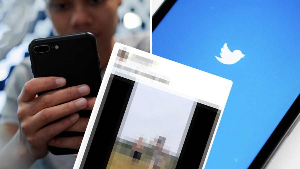 Störst på Twitter 2022