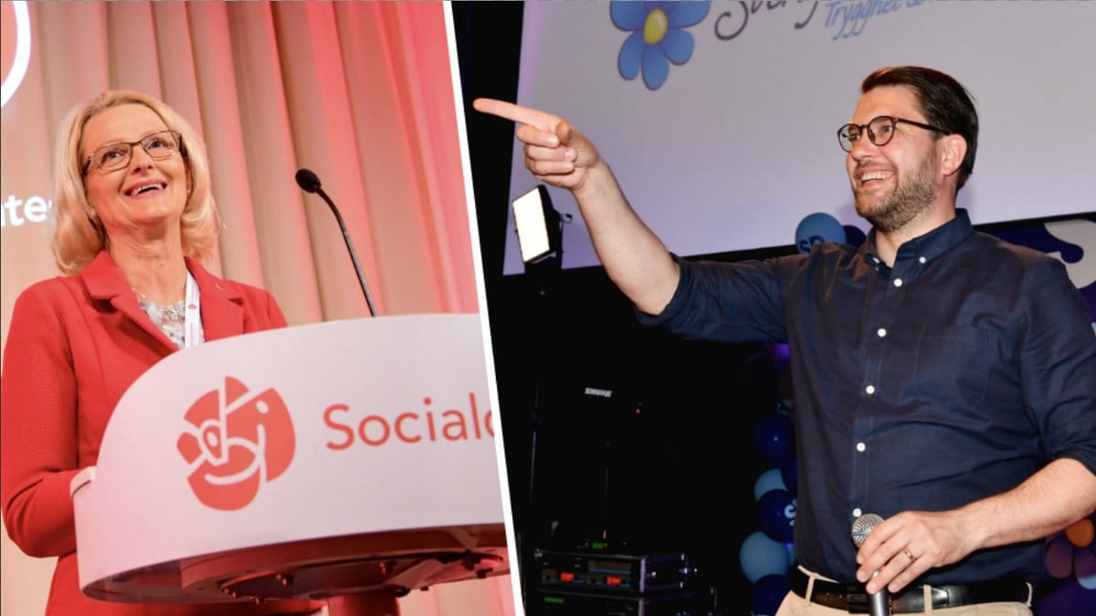 Så beräknas mandatfördelningen bli i EU-valet 2019