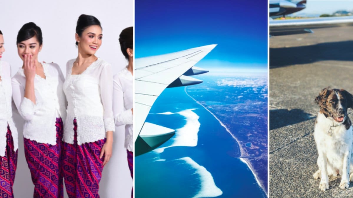 Hade du velat åka med några av dessa flyg?