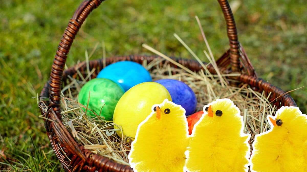ägg, korg, kycklingar 