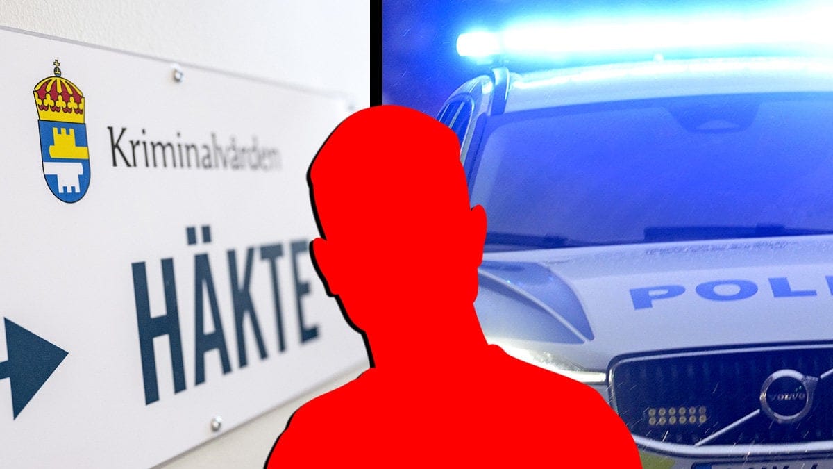 Realityprofil häktad