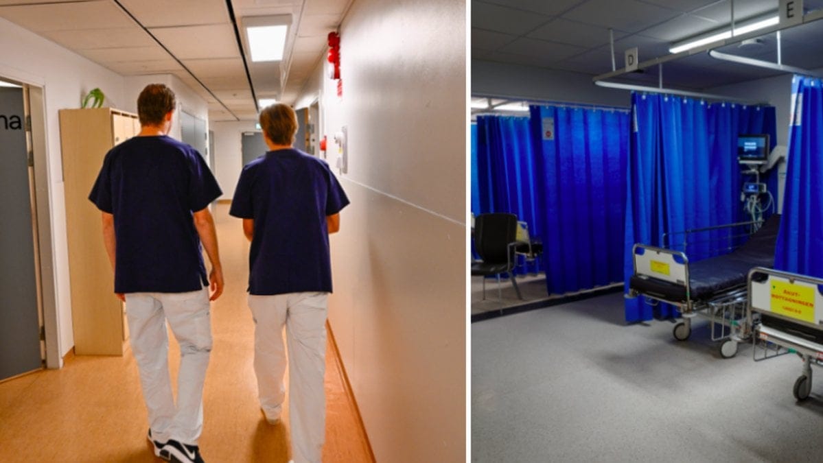 Förslaget innebär att det skulle kosta 500 kronor för en tolk i vården.