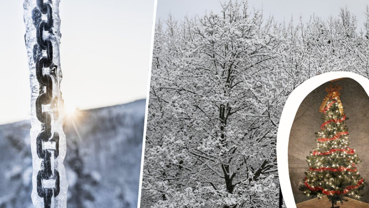 kedja med is, snö på träd, julgran
