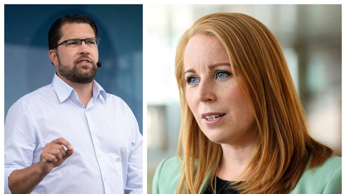 Annie Lööf (C) tycker att Jimmie Åkesson (SD) bör ta mer ansvar.