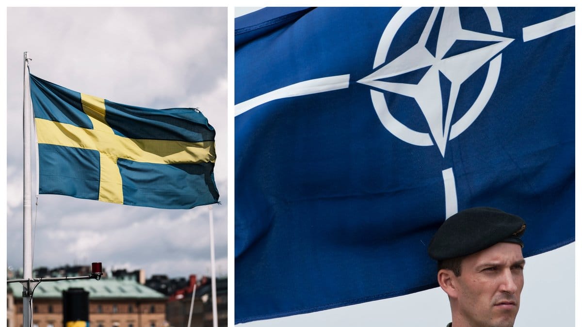 Vad innebär ett svenskt Nato-medlemskap?