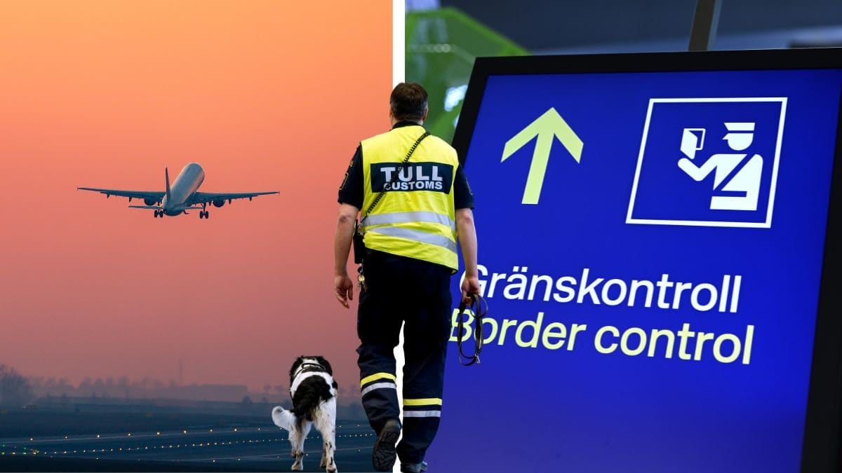 Flygplan och gränskontroll. En man som jobbar på tullen.