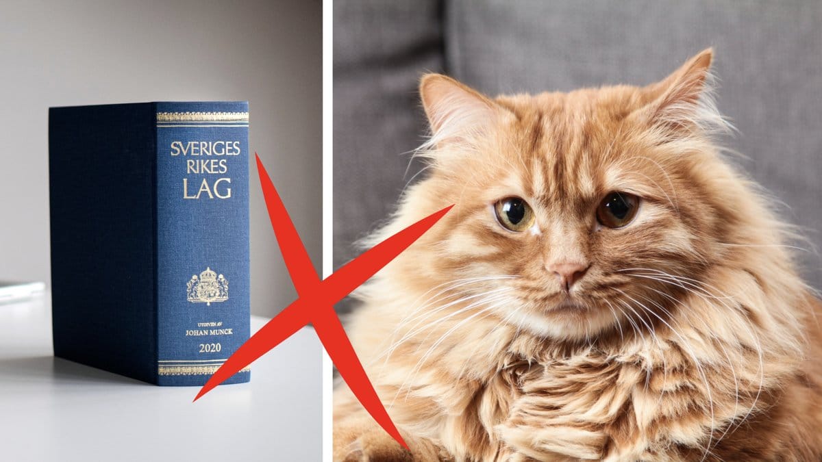 Den nya kattlagen börjar gälla den 1 januari 2023.