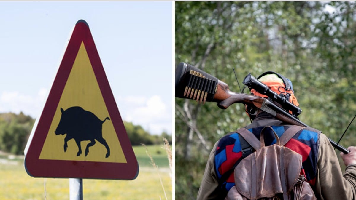 En man i 80-årsåldern vådasköt sin kompis i lår och skrev efter en vildsvinsjakt för två år sedan. Nu döms mannen för grovt vållande till kroppsskada.