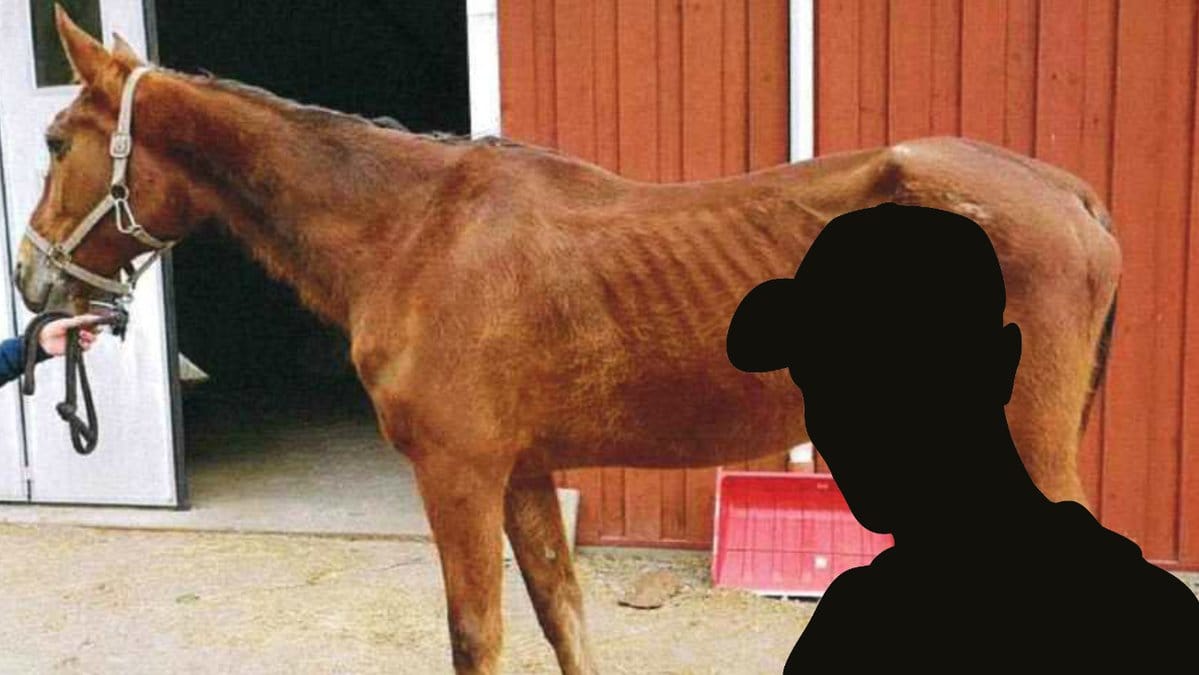 Man-doms-for-djurplageri-for-att-ha-svultit-hast