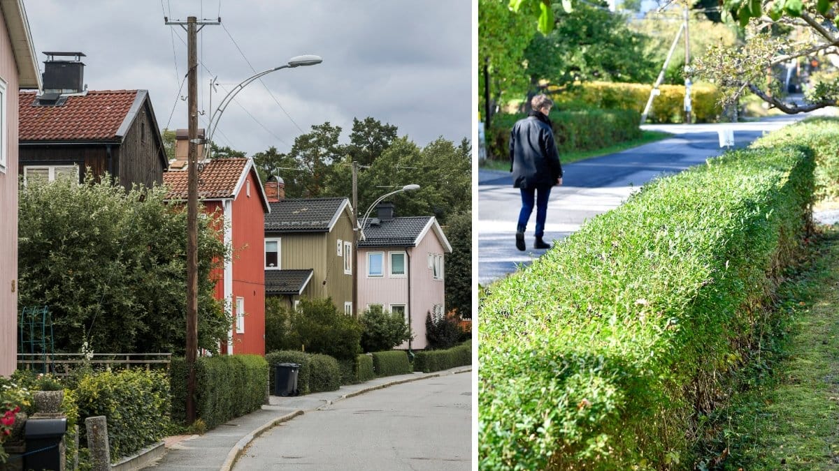 Bilder på villor och en trädgårdshäck.