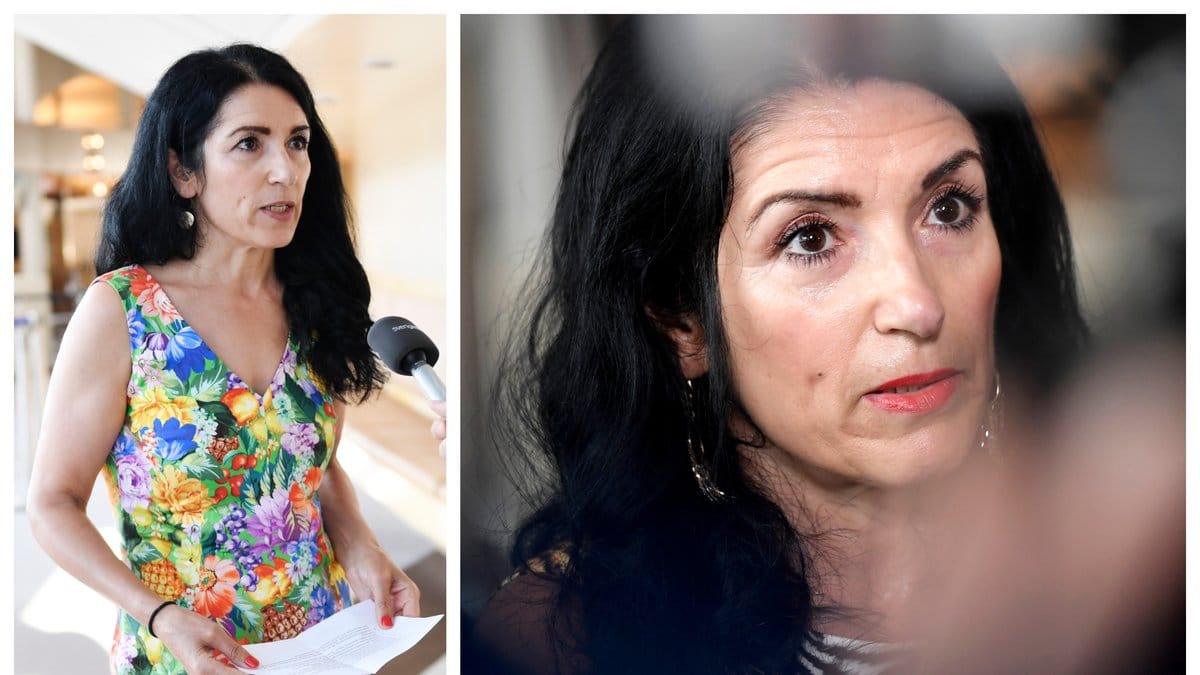 Amineh Kakabaveh är politisk vilde i riksdagen.