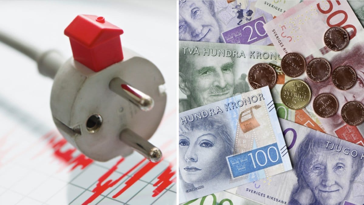 Den 20 februari får de första hushållen ta del av elstödet.