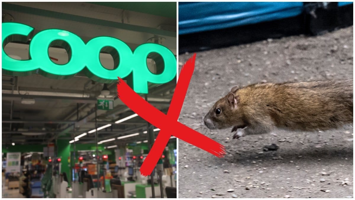 Coops logga och en råtta