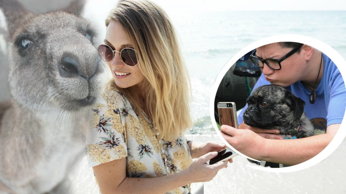 Instagram har förbjudit djurselfies