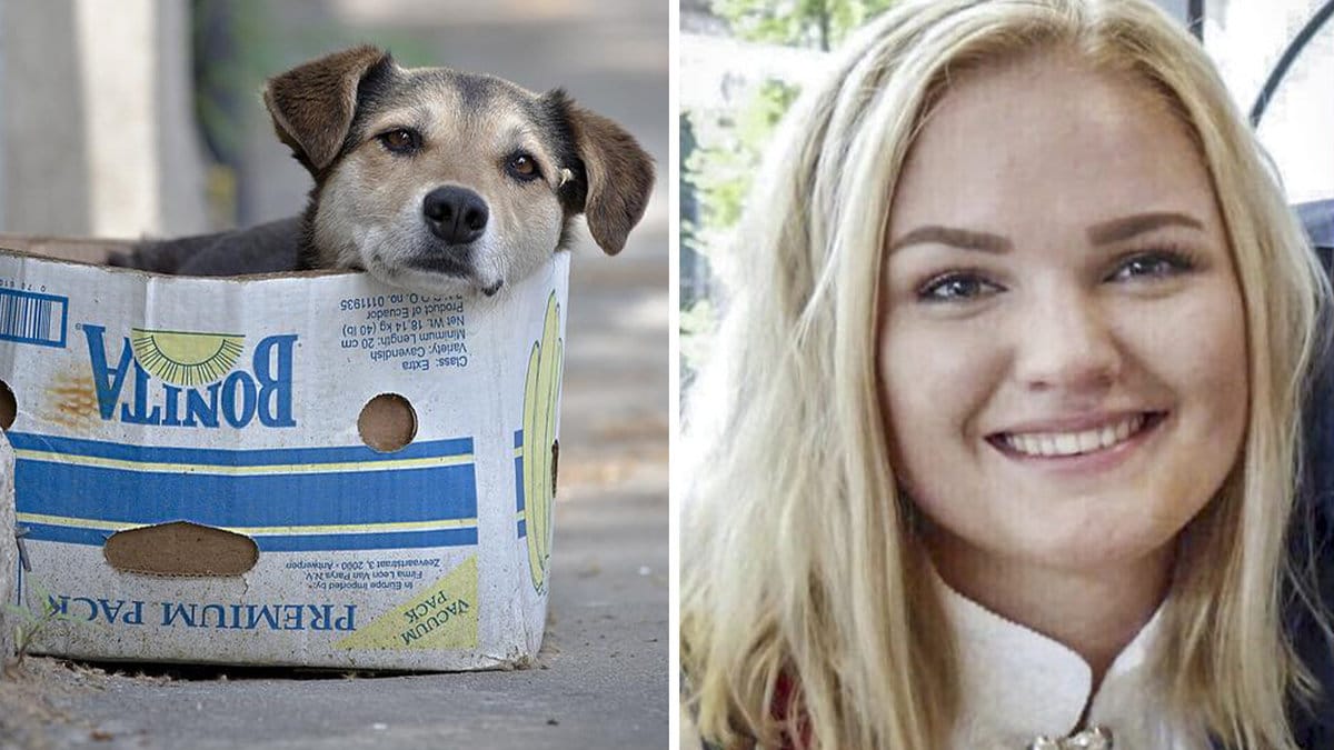 Birgitte blev biten av en hundvalp i Filippinerna.