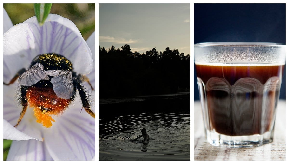 Här är 10 sommarrelaterade påståenden som antingen är sanna eller rena myter.